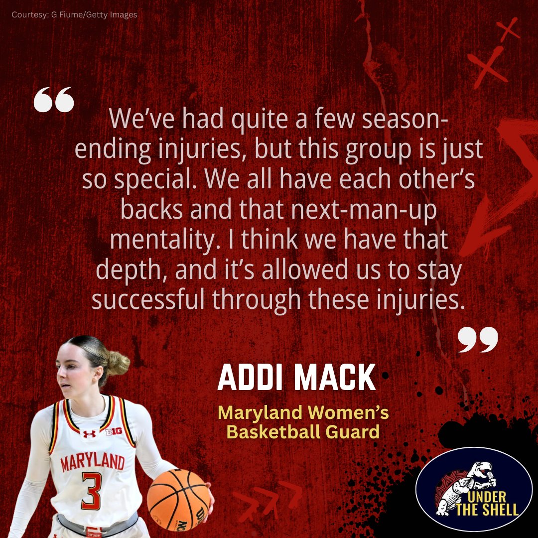 Under the Shell tweet media