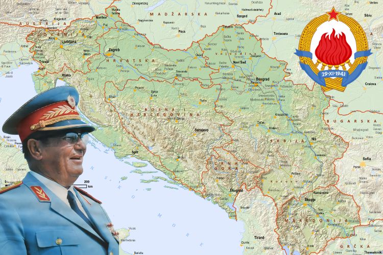 Јелица Јарић 🐝 tweet media