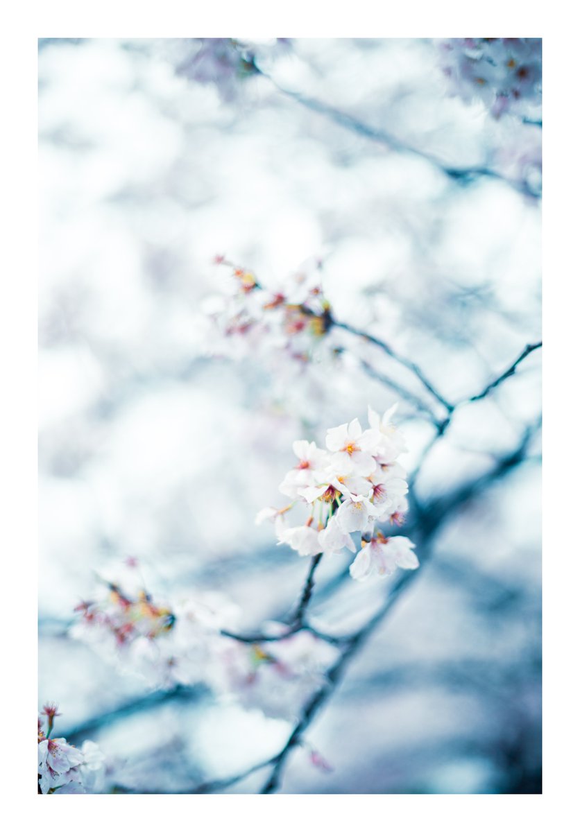 遥か遠い記憶ってこんな色してる