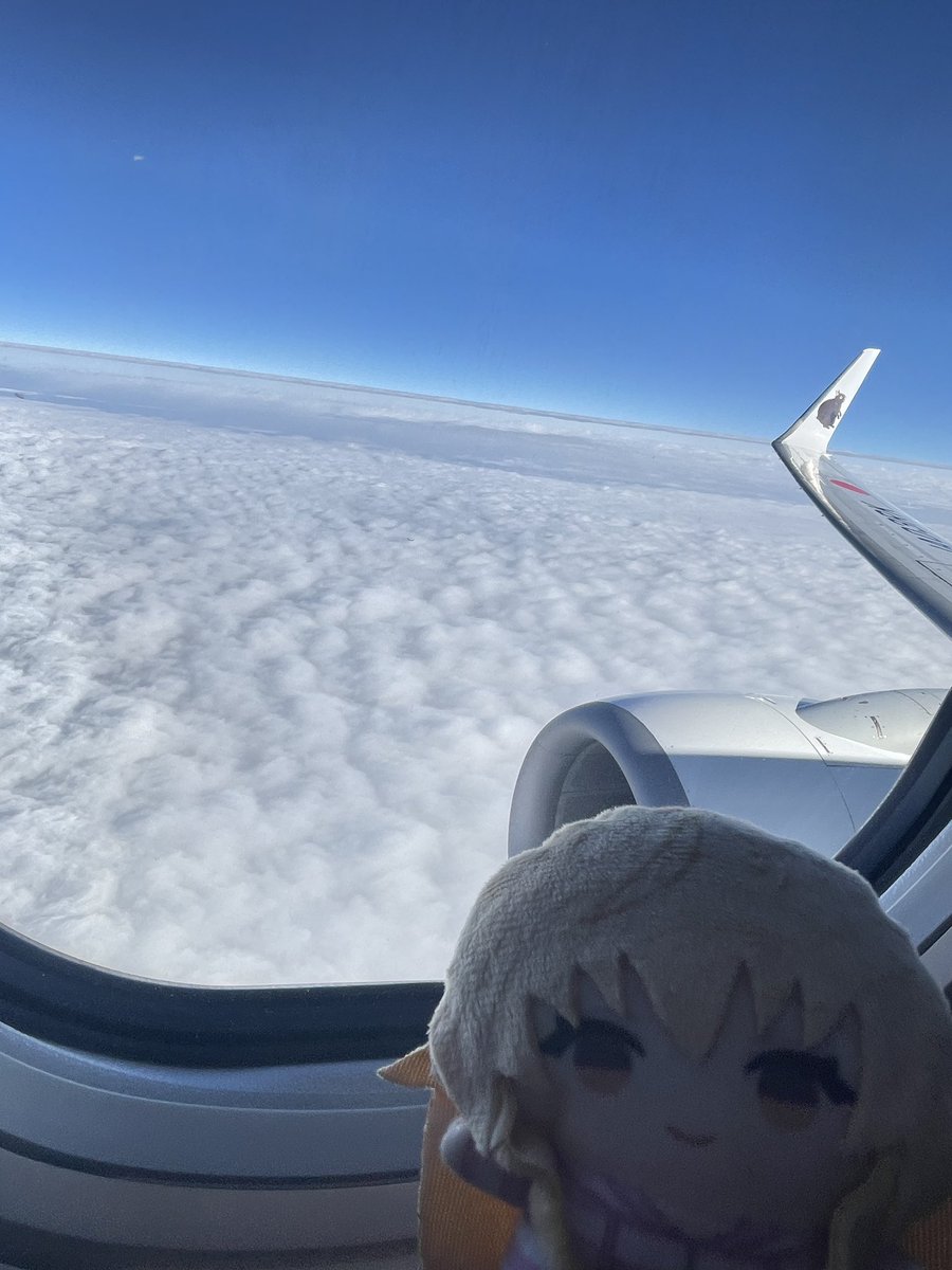 ビッキー tweet media