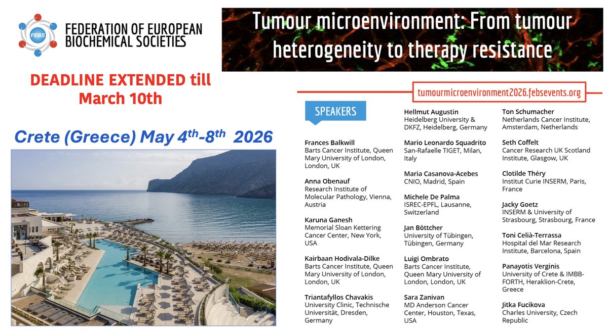 Toni Celia-Terrassa tweet media