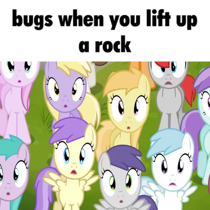 BrayTrashPanda🐾 tweet media