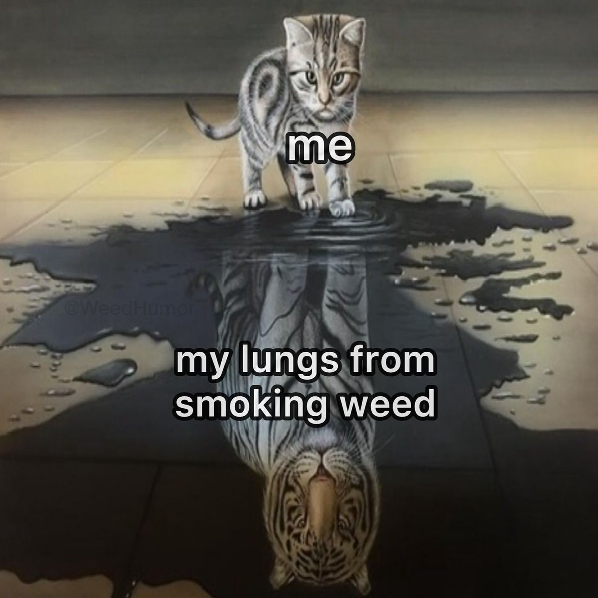 things that i smoke weed to (@stoneythings) on Twitter photo 