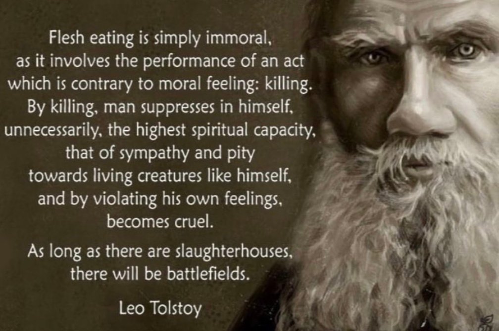 Vegan Future tweet media