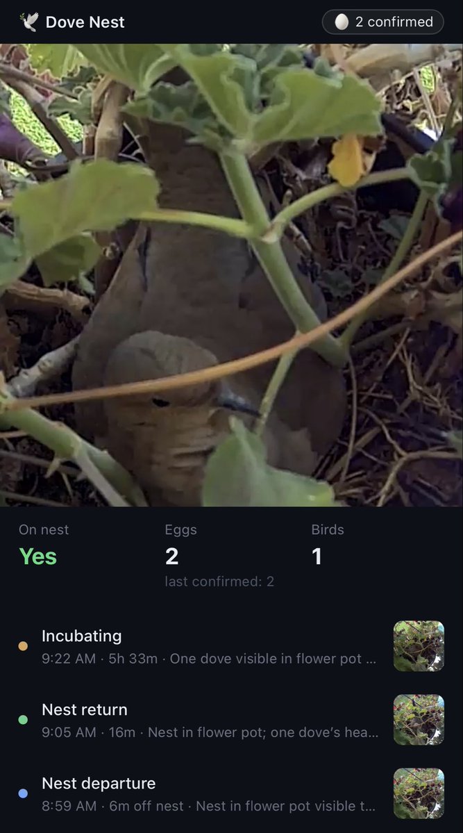 Aleksey Smolenchuk tweet media