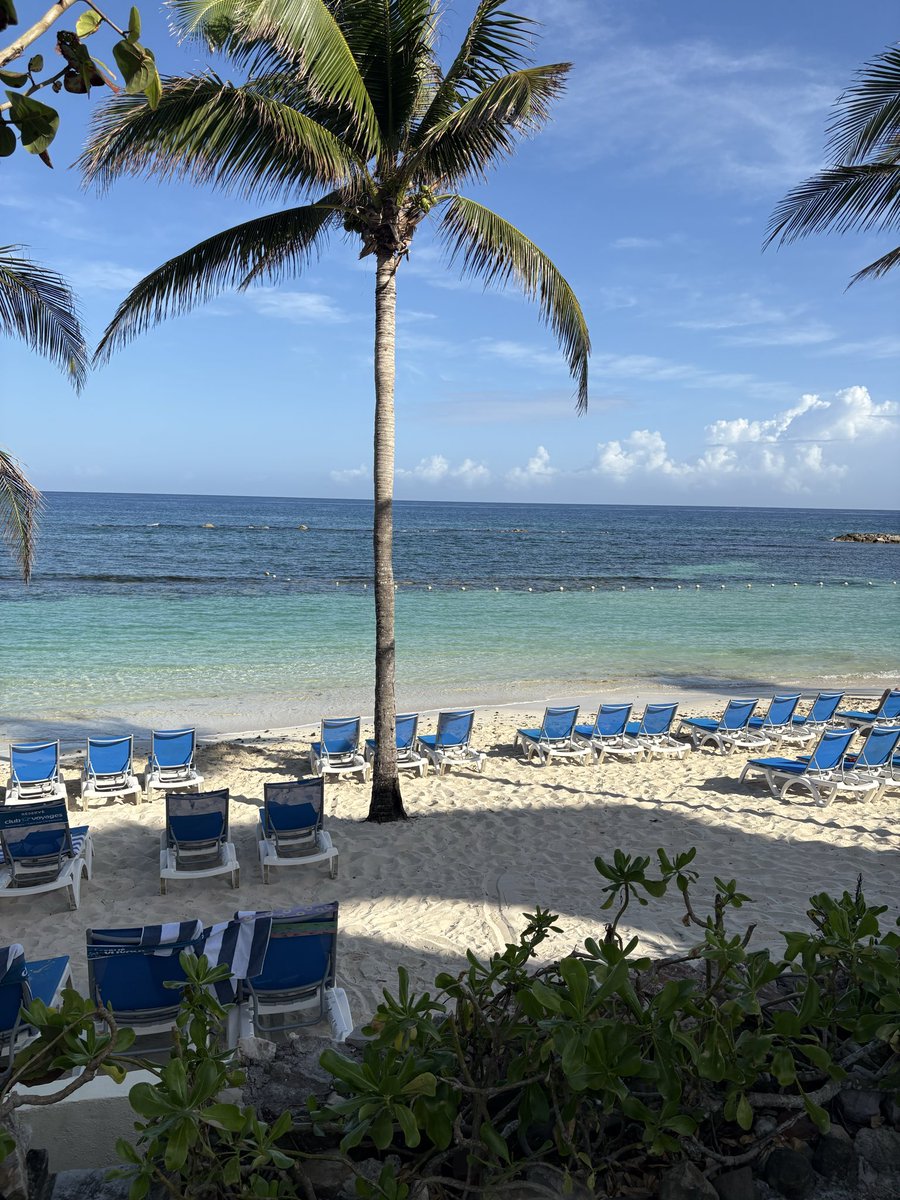 Ashley Harrison tweet media