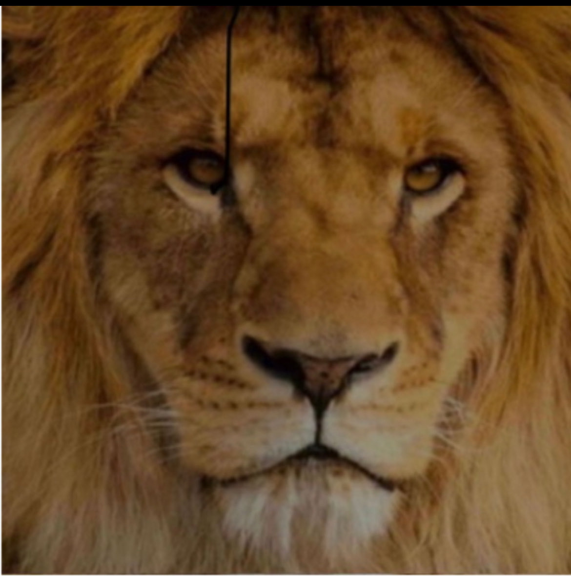 Ricardo Arias Mora tweet media