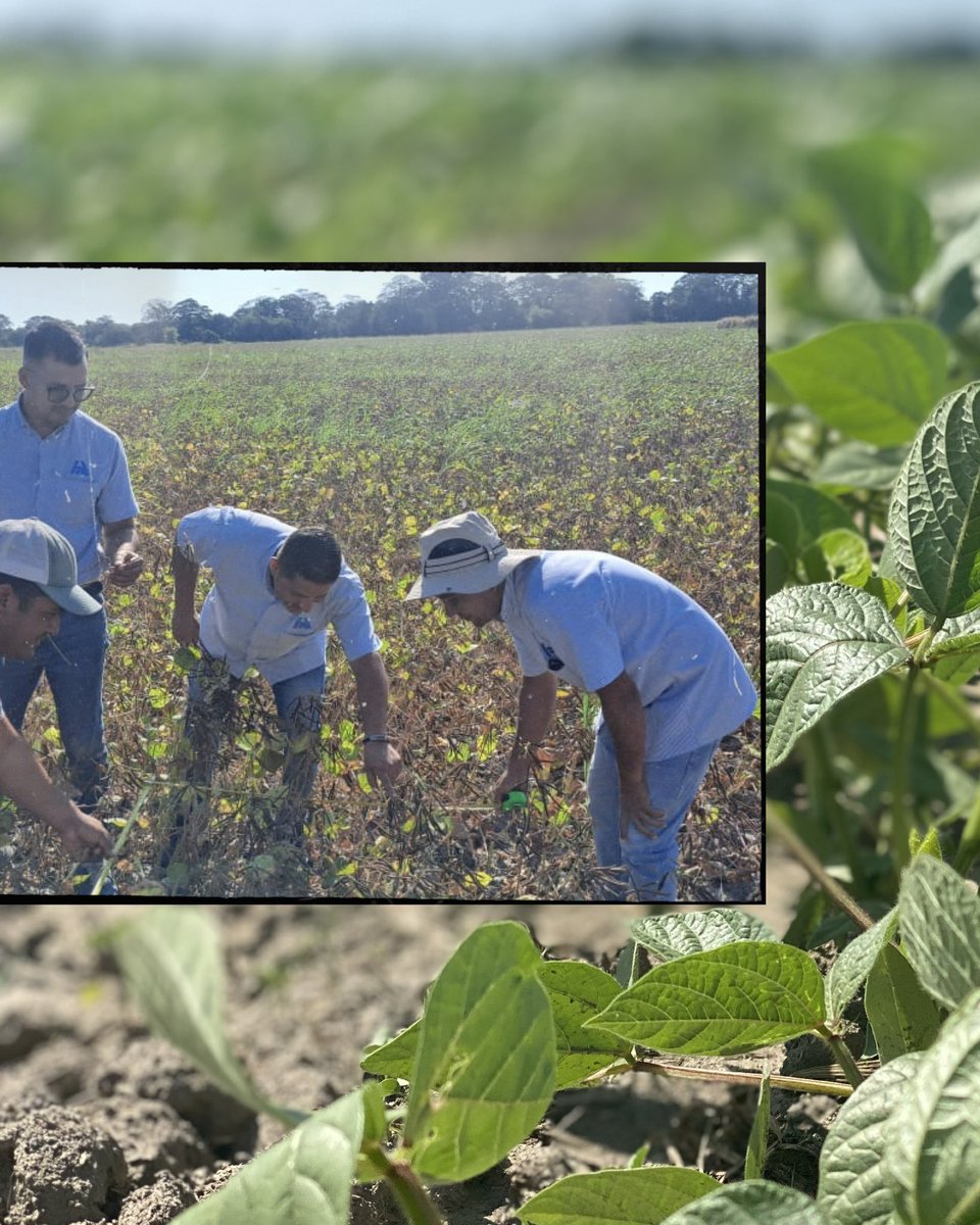 Asoportuguesa🌱 tweet media