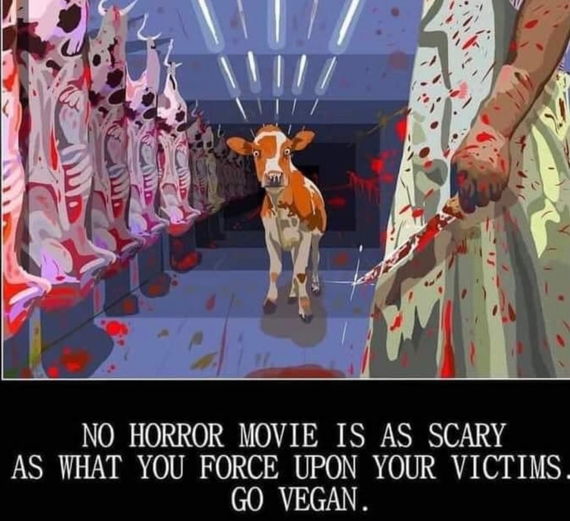 Vegan Future tweet media