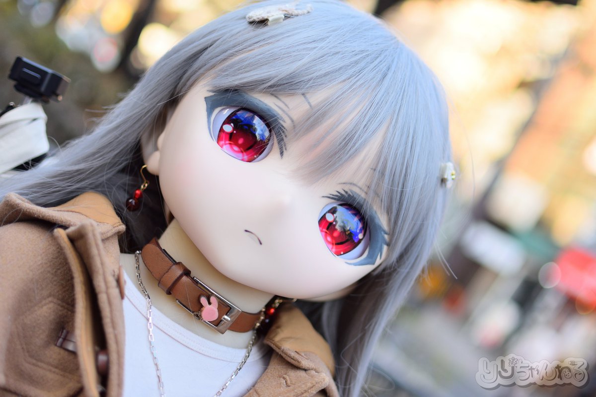 みんな、見てちょーよ！ でらかわいい( * ֦ơωơ֦)🫶