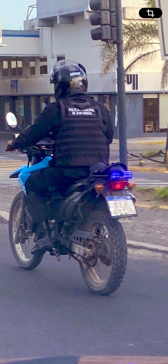 Gonzalo Fernández tweet media