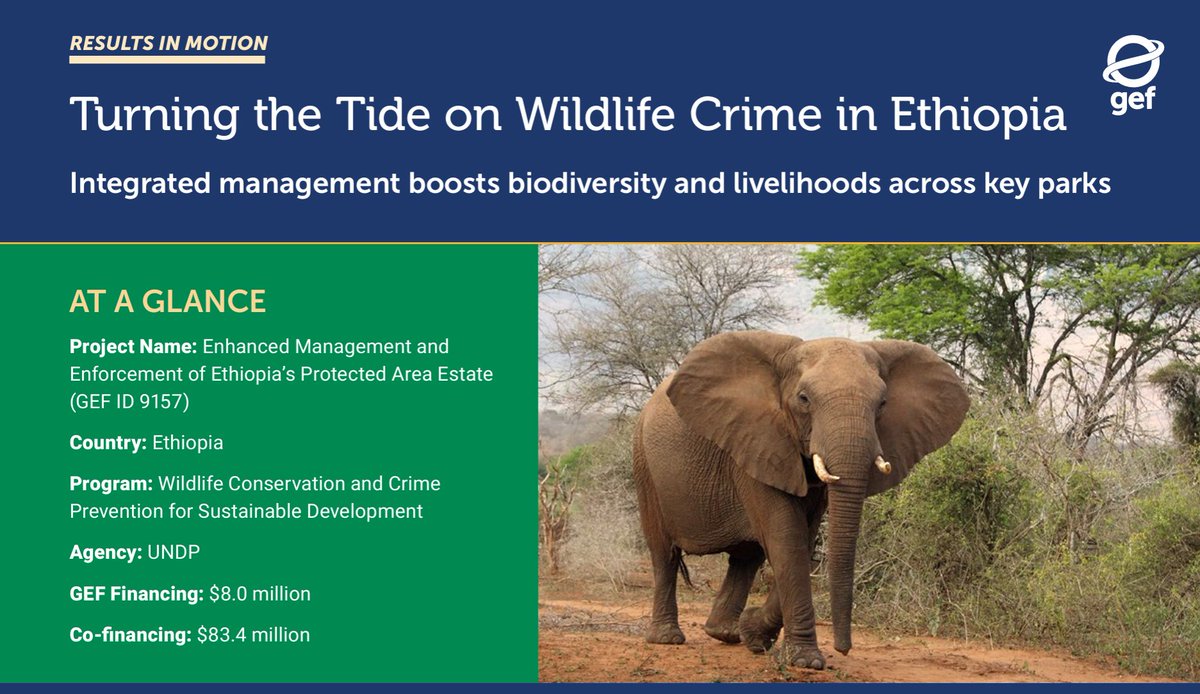 Global Environment Facility (GEF) tweet media