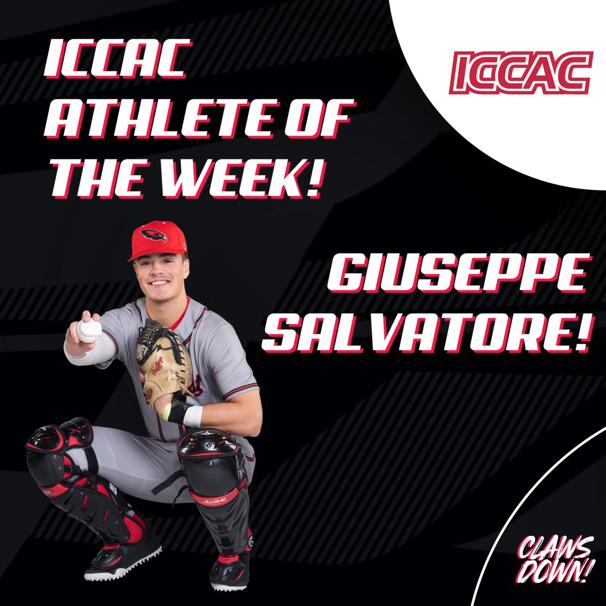 Northeast Baseball tweet media