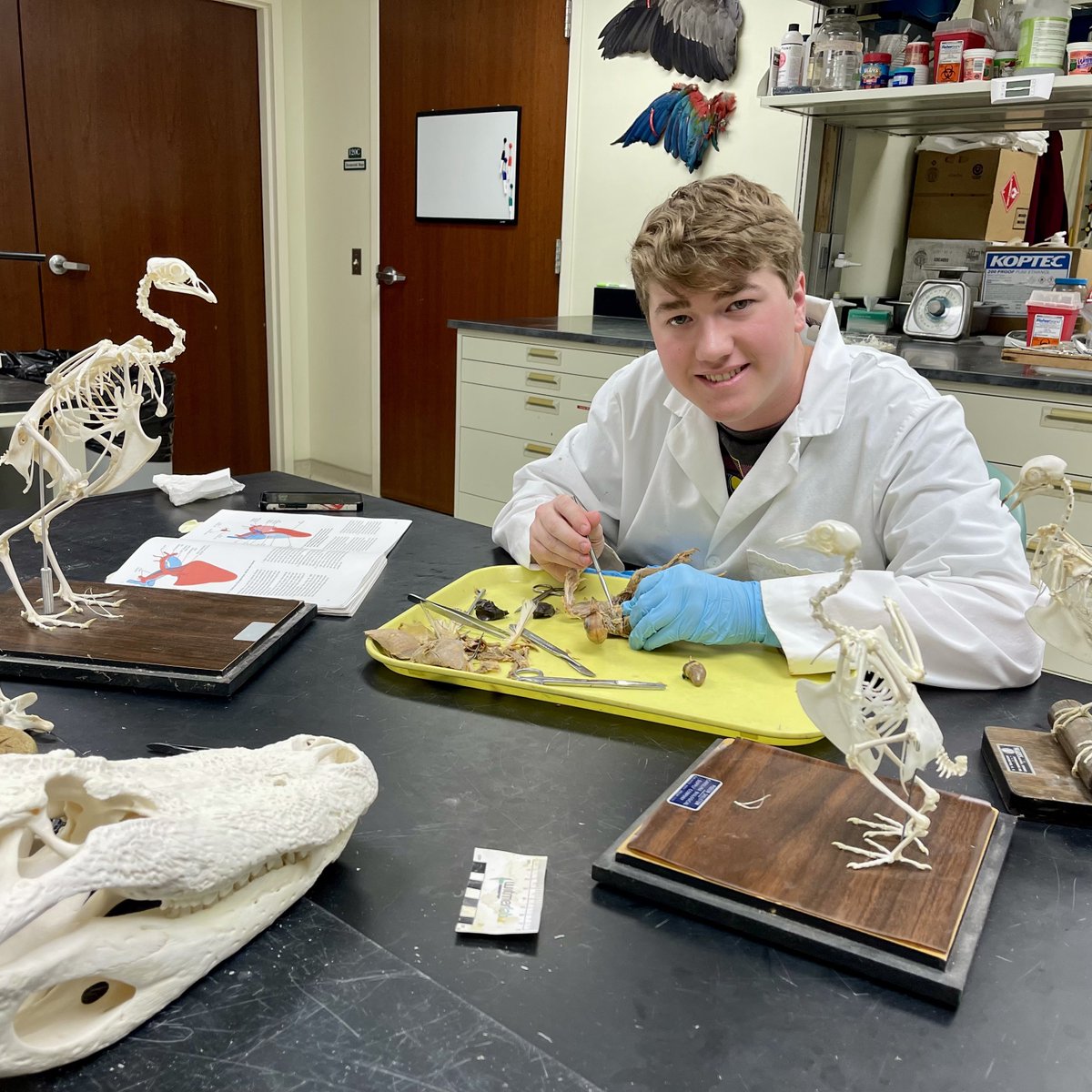 WitmerLab tweet media