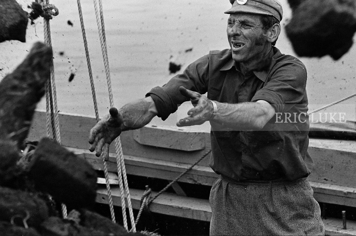 Eric Luke tweet media