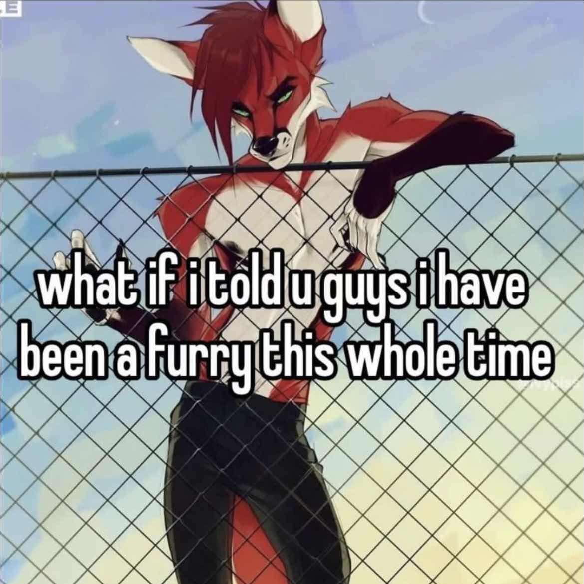 ShitpostGateway tweet media