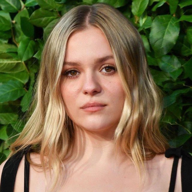 DomTheBomb tweet media