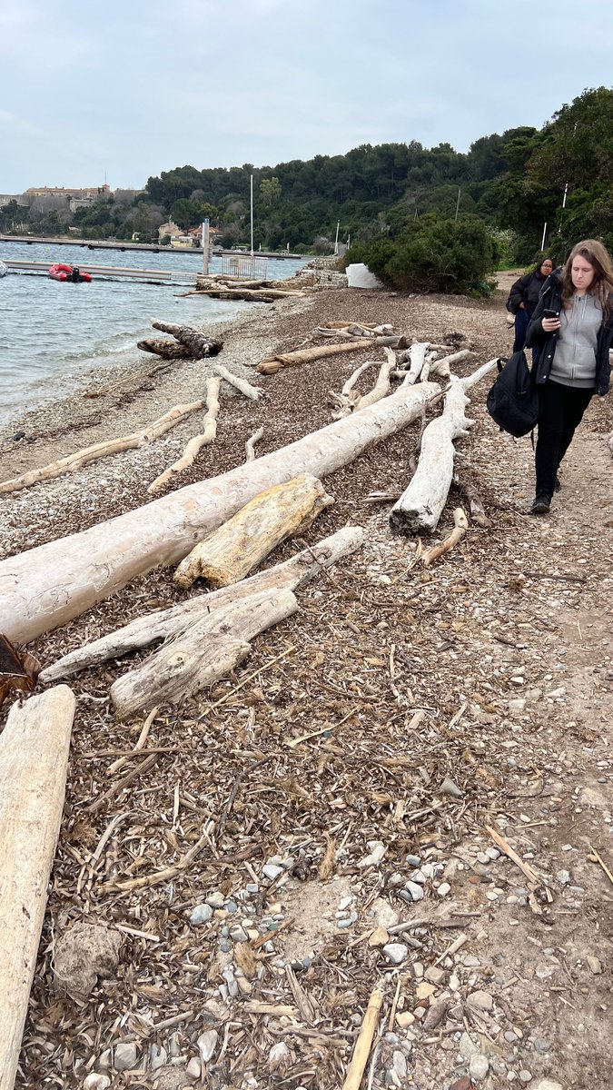 Lycée Les Coteaux tweet media