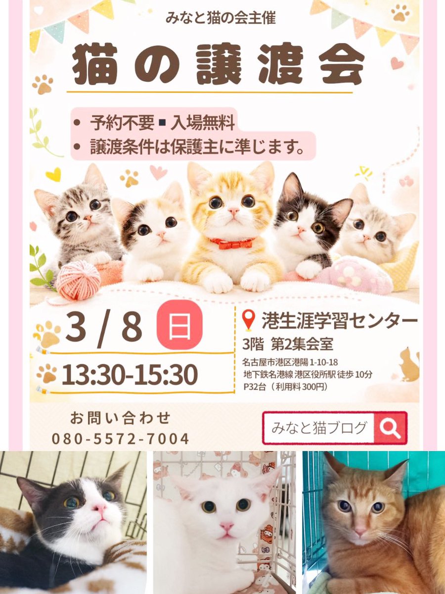 #拡散RPお願いします 
保護猫たちの里親様探しにご協力いただきありがとうございます❣️

【猫の譲渡会】
•3/8(日)13:30-15:30
•名古屋市港生涯学習センター
•おとな猫中心に26匹が参加予定

譲渡会が初めての方も、
猫と暮らしたことがない方も、
お気軽にお立ち寄り下さい🍀

#保護猫譲渡会
