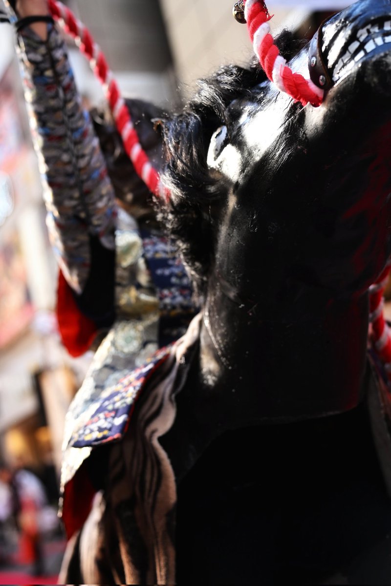 先日渋谷で三重のお祭り「しゃご馬」を演ってました！
なかなか迫力のある演舞というのかな？素敵でした(^^)

#Photoliker
#Zf
#しゃご馬