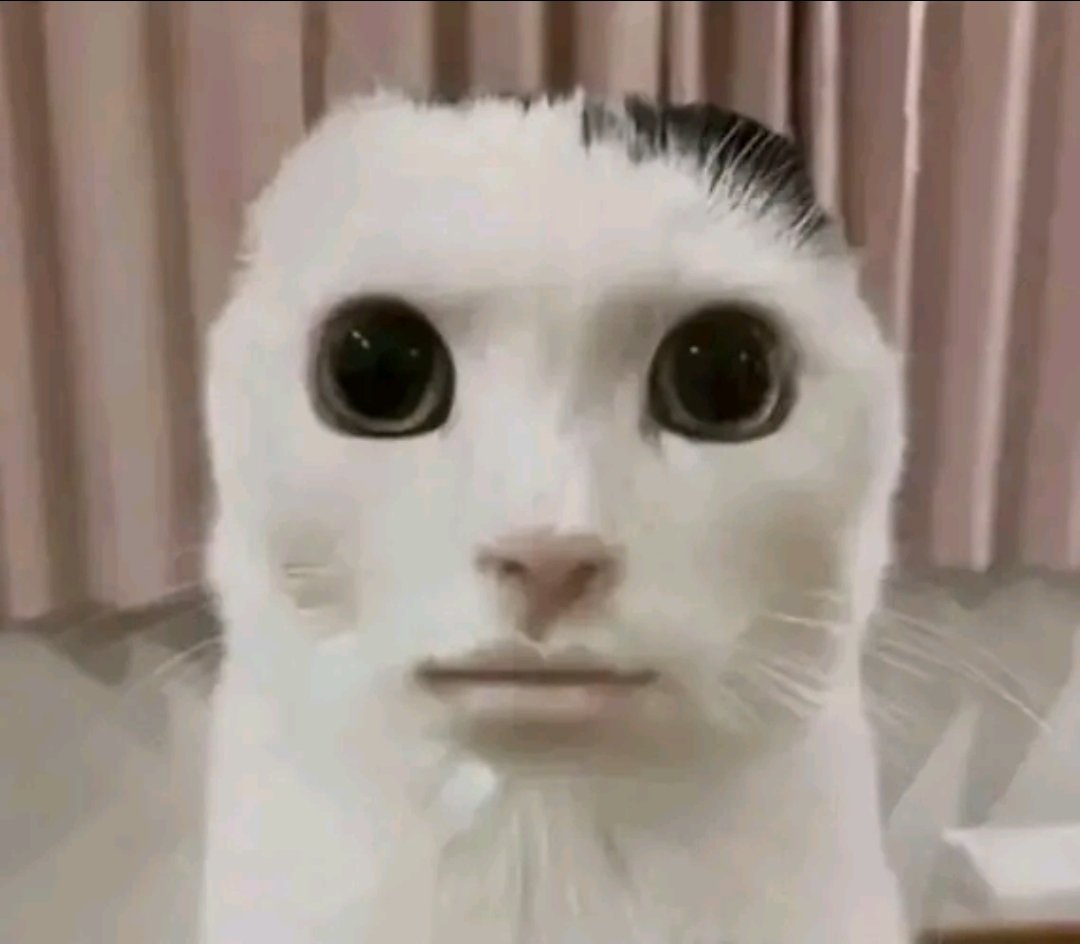 🍁Aelnah 🦋 tweet media