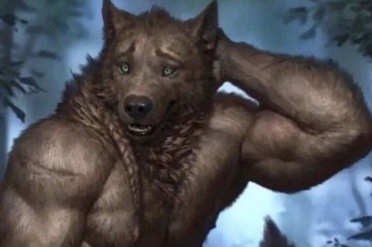 ¡ARF! ¡BARK!ARF! ¡BARK!¡BARK!¡BARK!¡BARK! tweet media