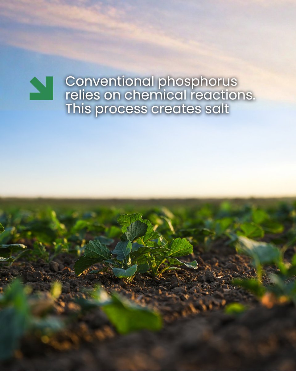 Replenish Nutrients tweet media