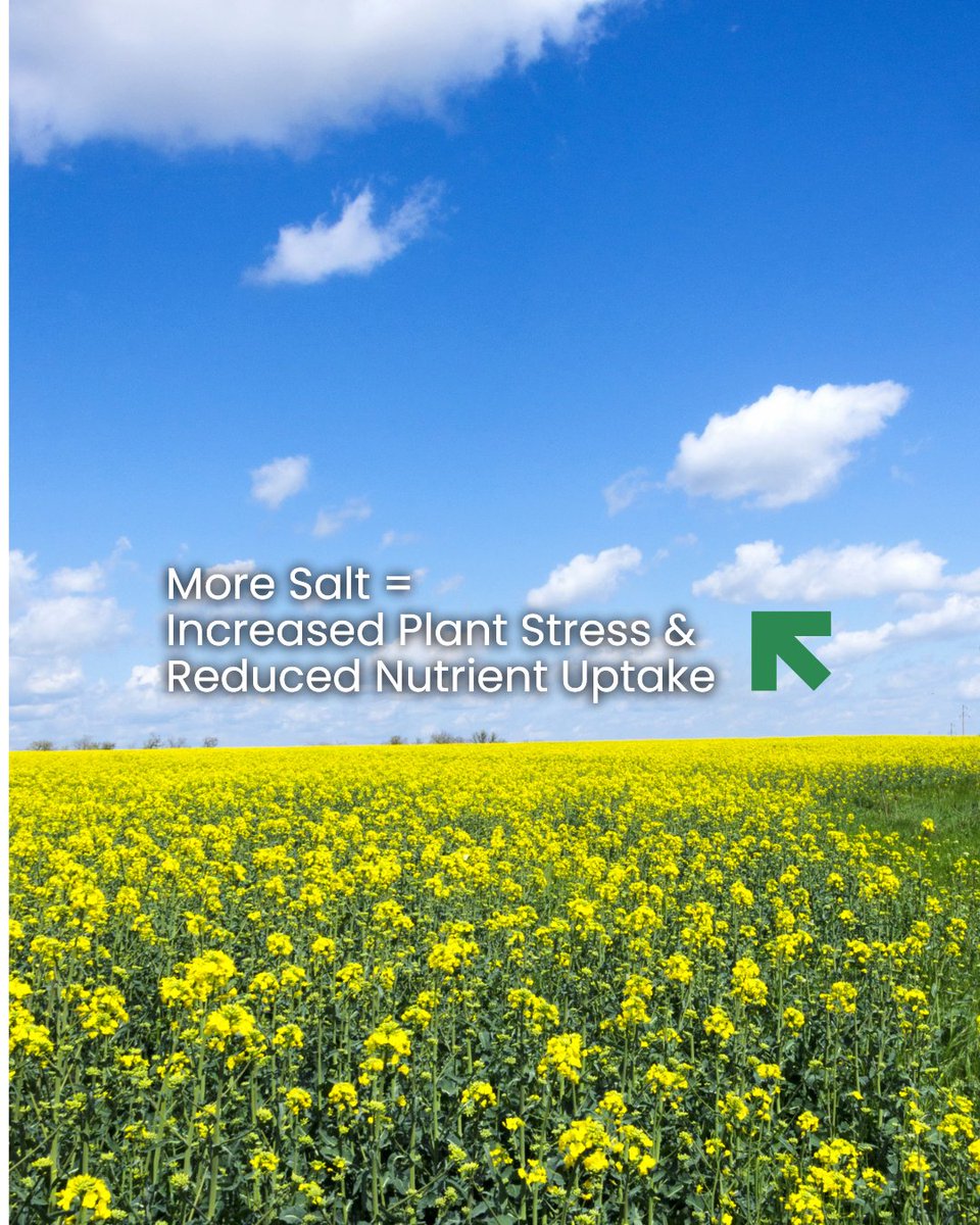 Replenish Nutrients tweet media