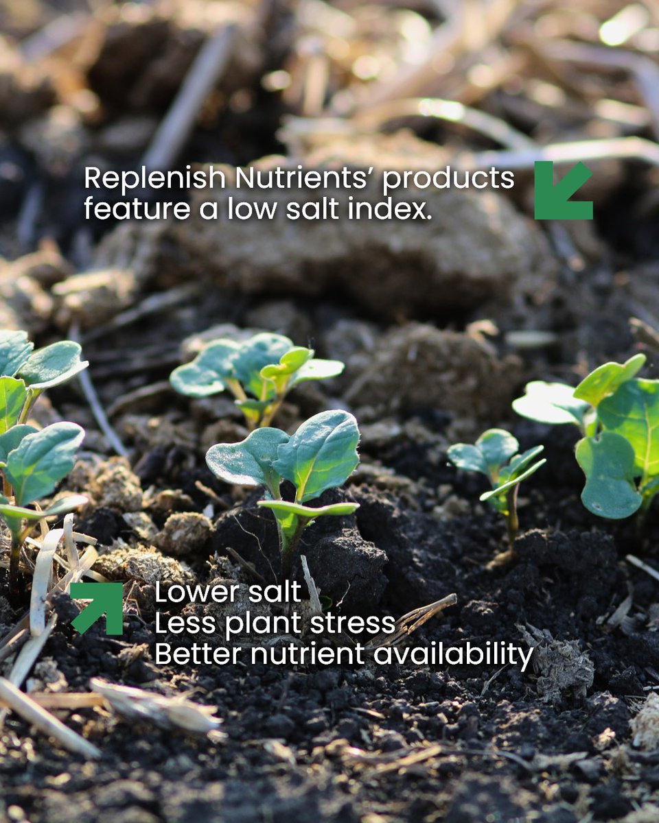 Replenish Nutrients tweet media