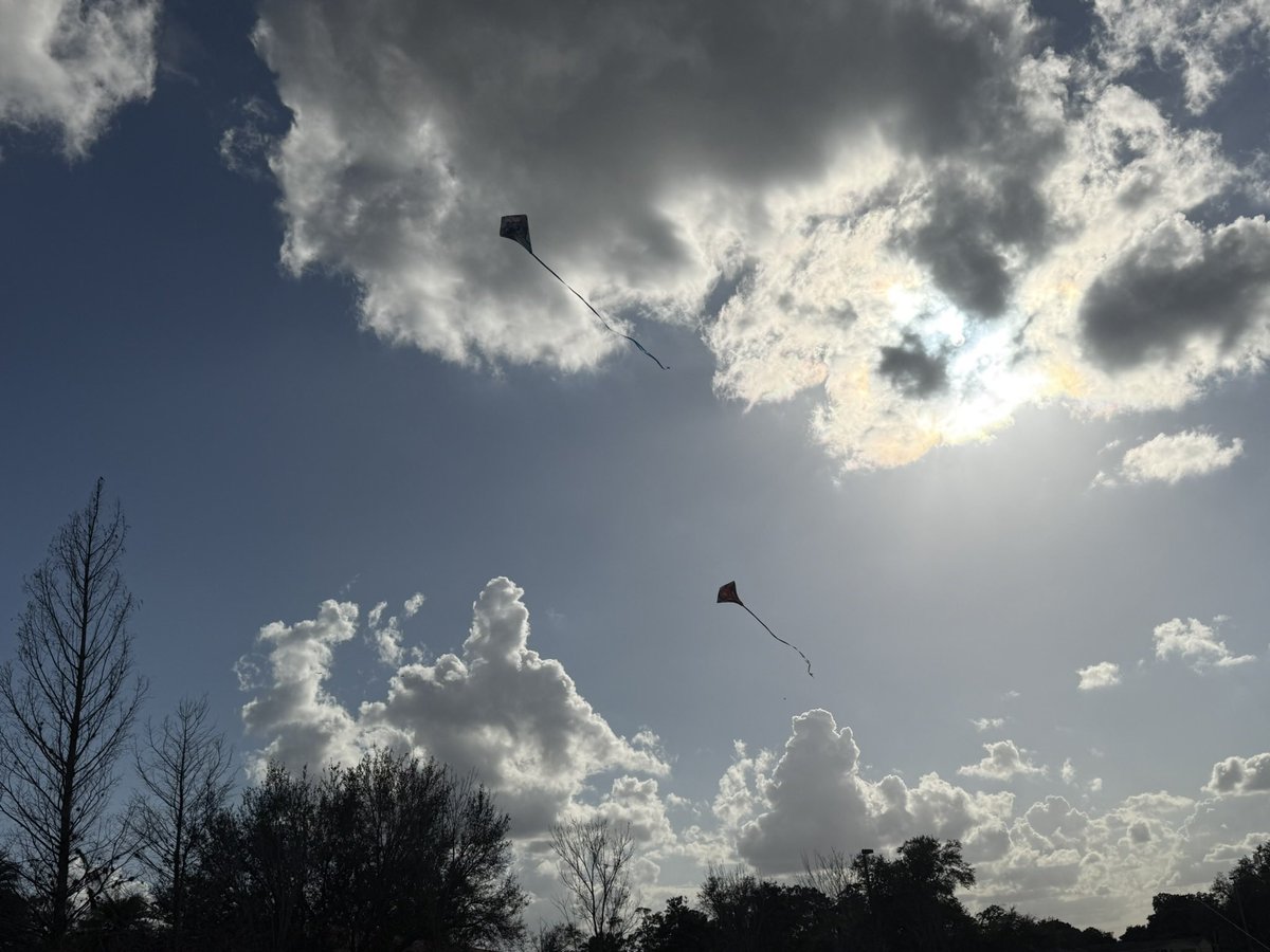 Andrea Palmatier, M.Ed tweet media