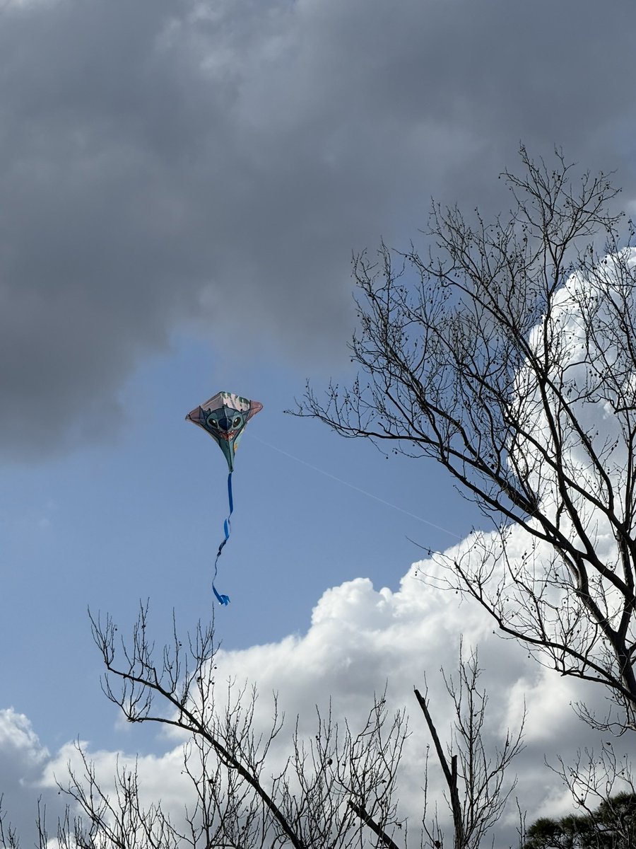 Andrea Palmatier, M.Ed tweet media