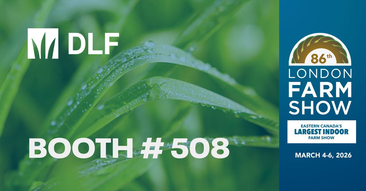 DLF Canada tweet media