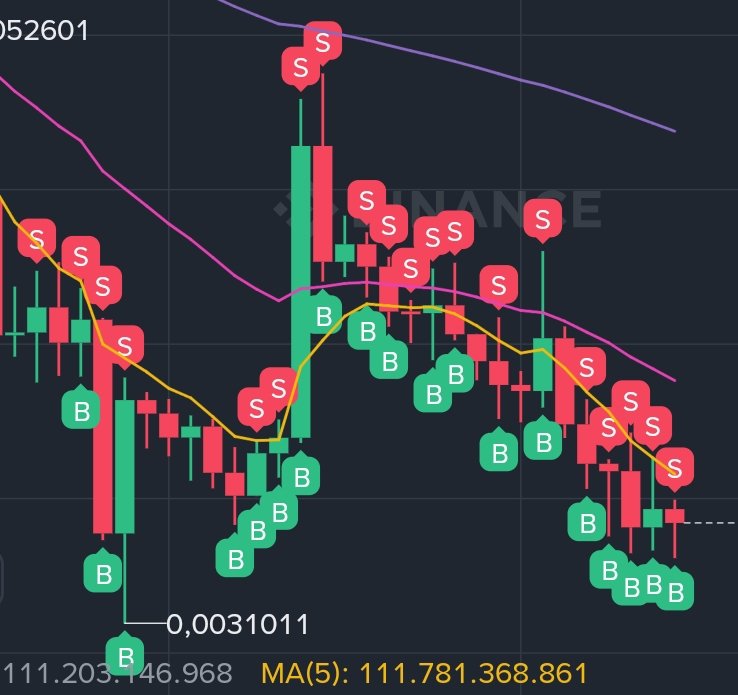 birini sevince ona verdiğimiz ilgi ve değer 
$PEPE