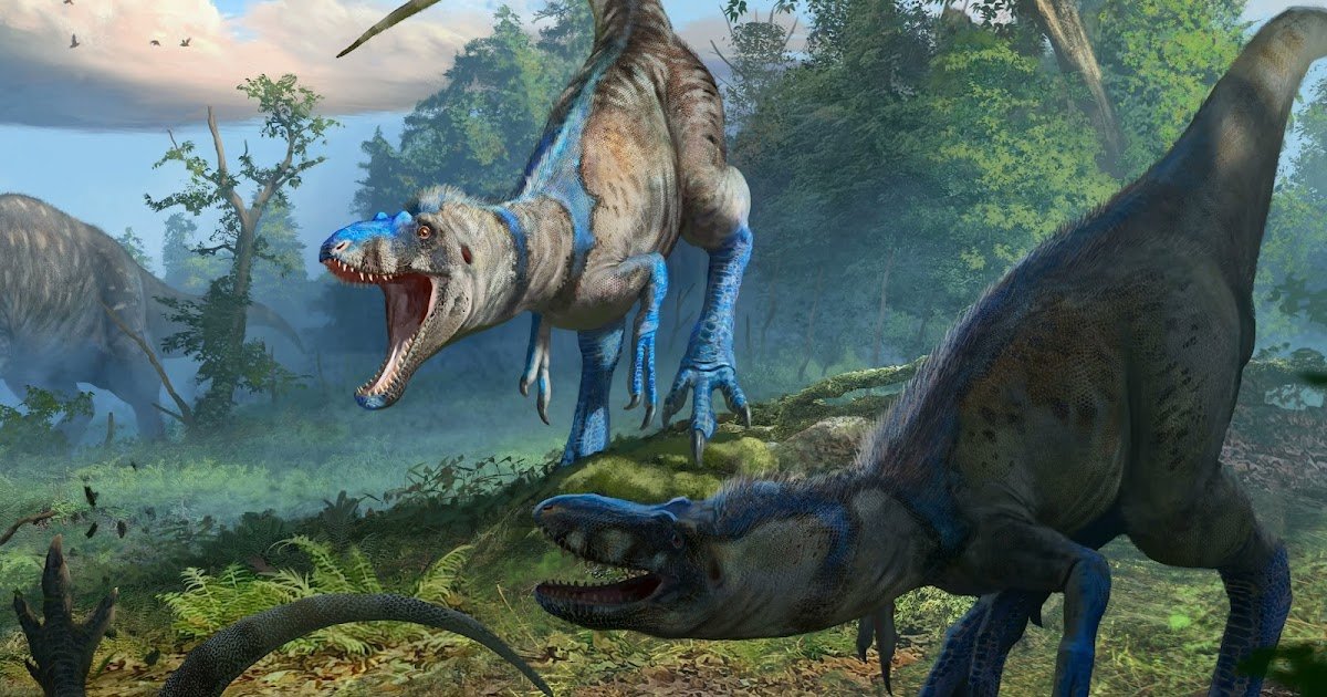 Knight_Steve tweet media