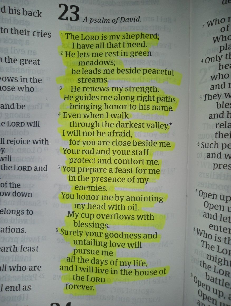 Bible 365 tweet media