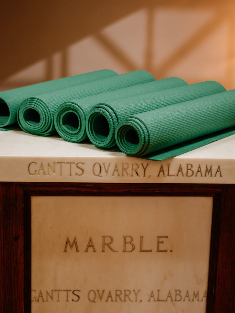 Alabama Museum of Natural History tweet media