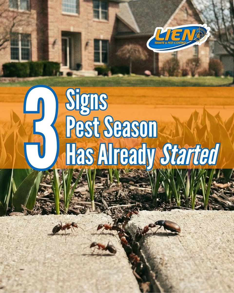 LienTermite's tweet photo. 3 signs pest season has started:

• Ants near sinks or baseboards
• More spiders indoors
• Rodents active at night

Warmer days trigger movement early.

You can Lien on us for what’s bugging you!

#springpests #omaha https://t.co/jPYGVLLnxE