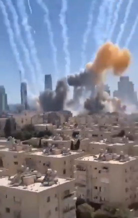 Nell Shindara tweet media