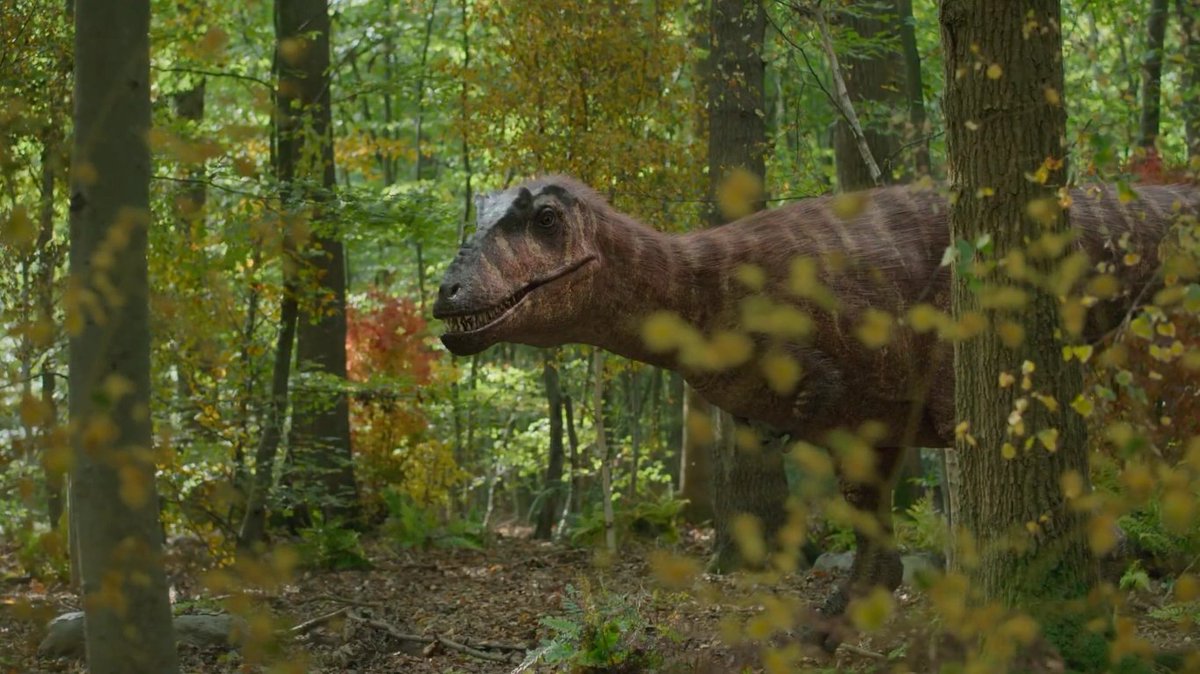 Knight_Steve tweet media