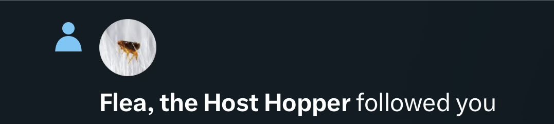 The Flamingo tweet media