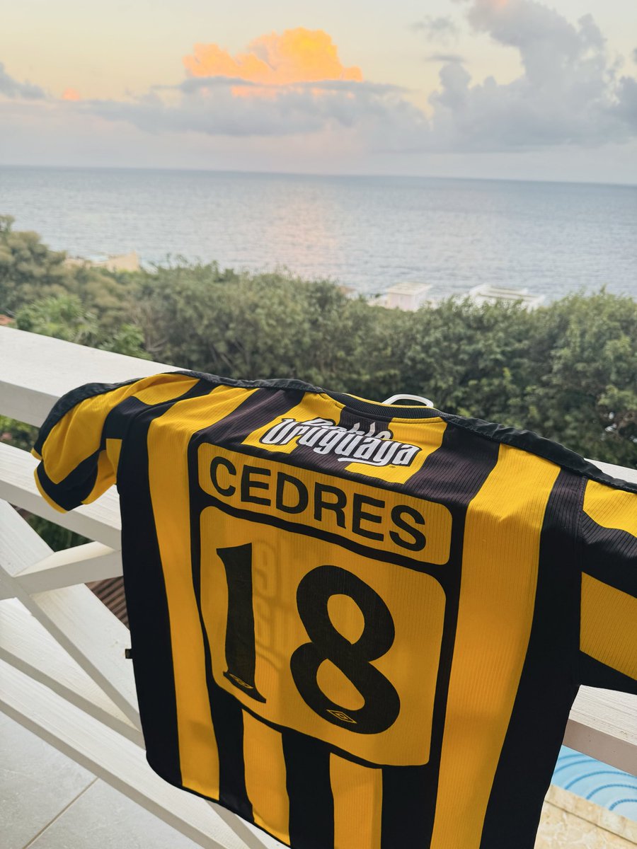 Feliz cumple <a href="/CedresG/">Nestor G Cedres</a> abrazo de un carbonero en Honduras 💛🖤