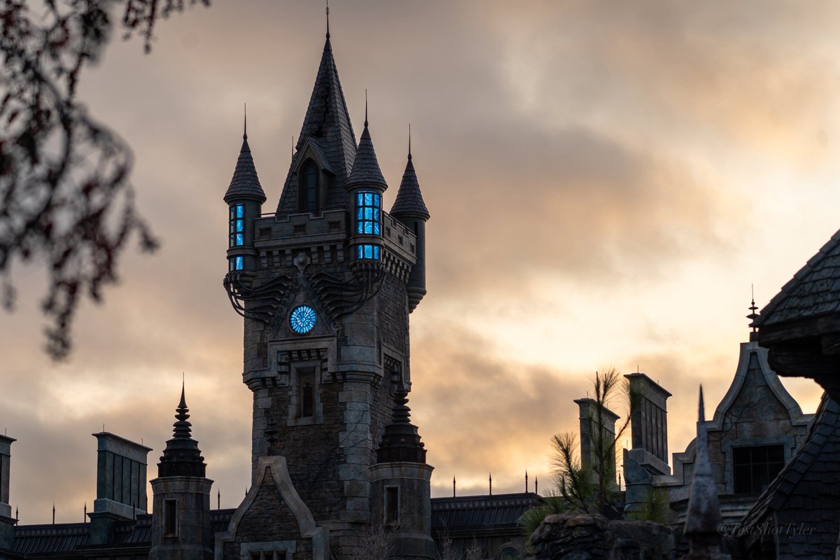 Test Shot Tyler tweet media