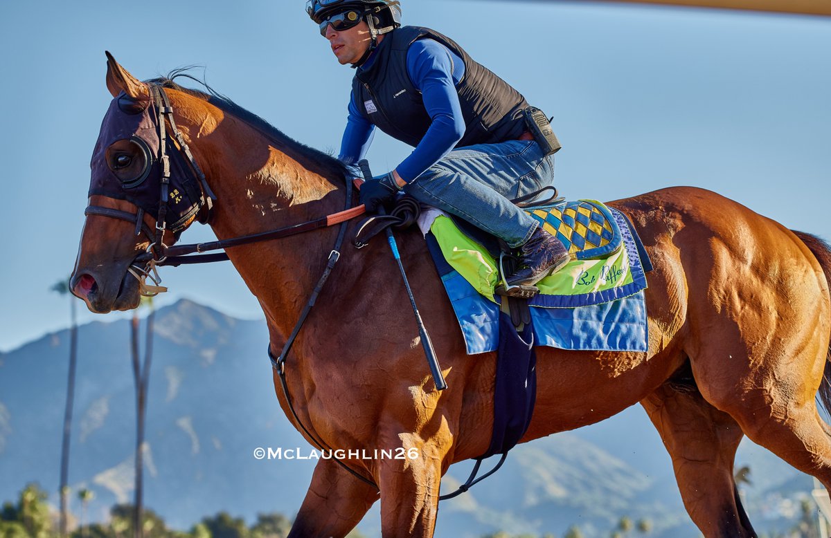 J McLaughlin Safford tweet media