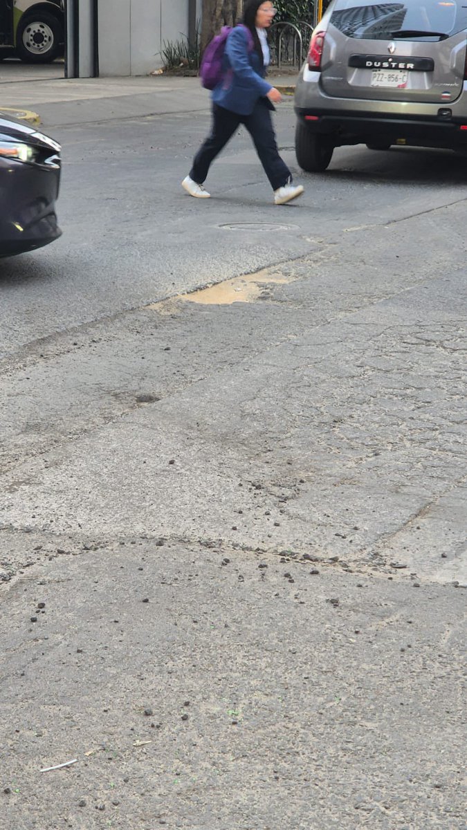 Vanina Scaldaferri tweet media