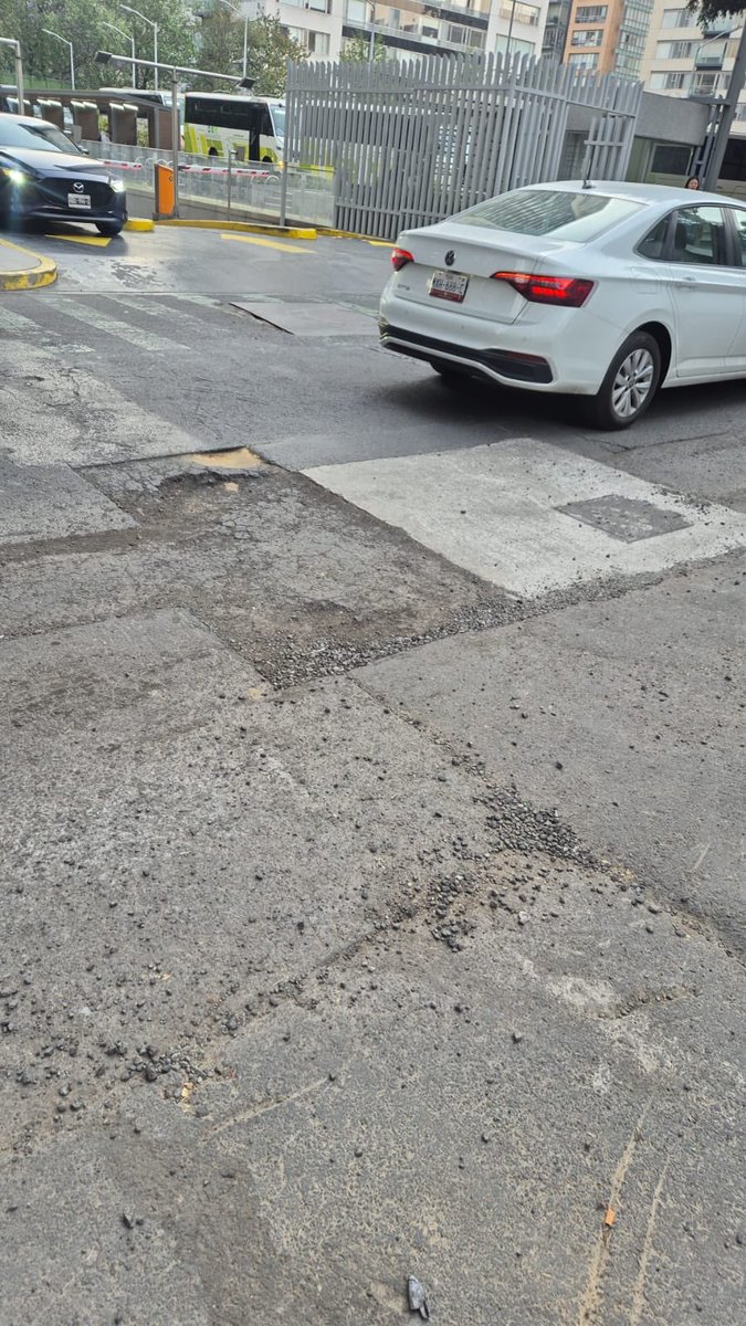 Vanina Scaldaferri tweet media