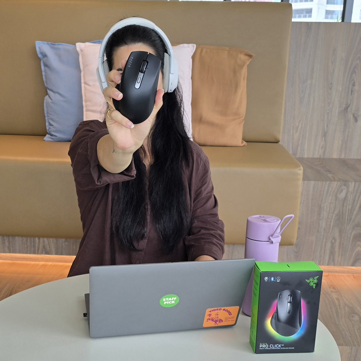 General Cannoli tweet media