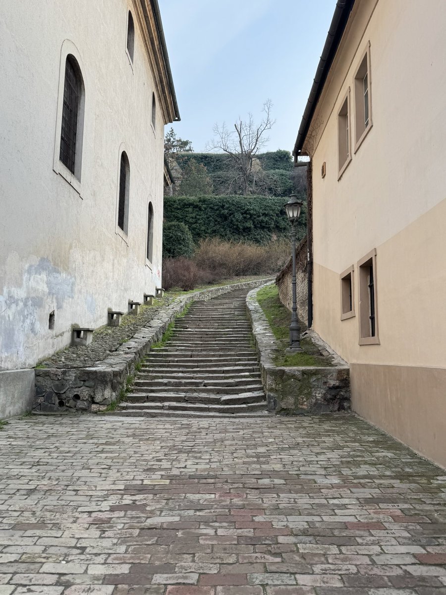 мики tweet media