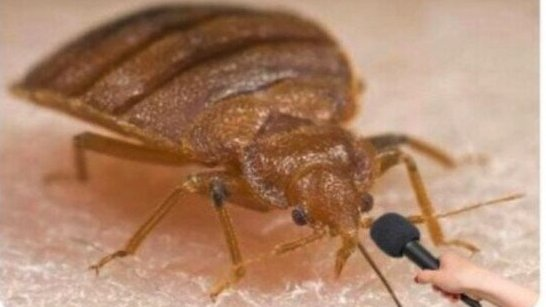 -Cuál es su periodista, conductor argentino de radio, televisión, fotógrafo y corresponsal de guerra. favorito???
-Chinche Gelblung!!!!!