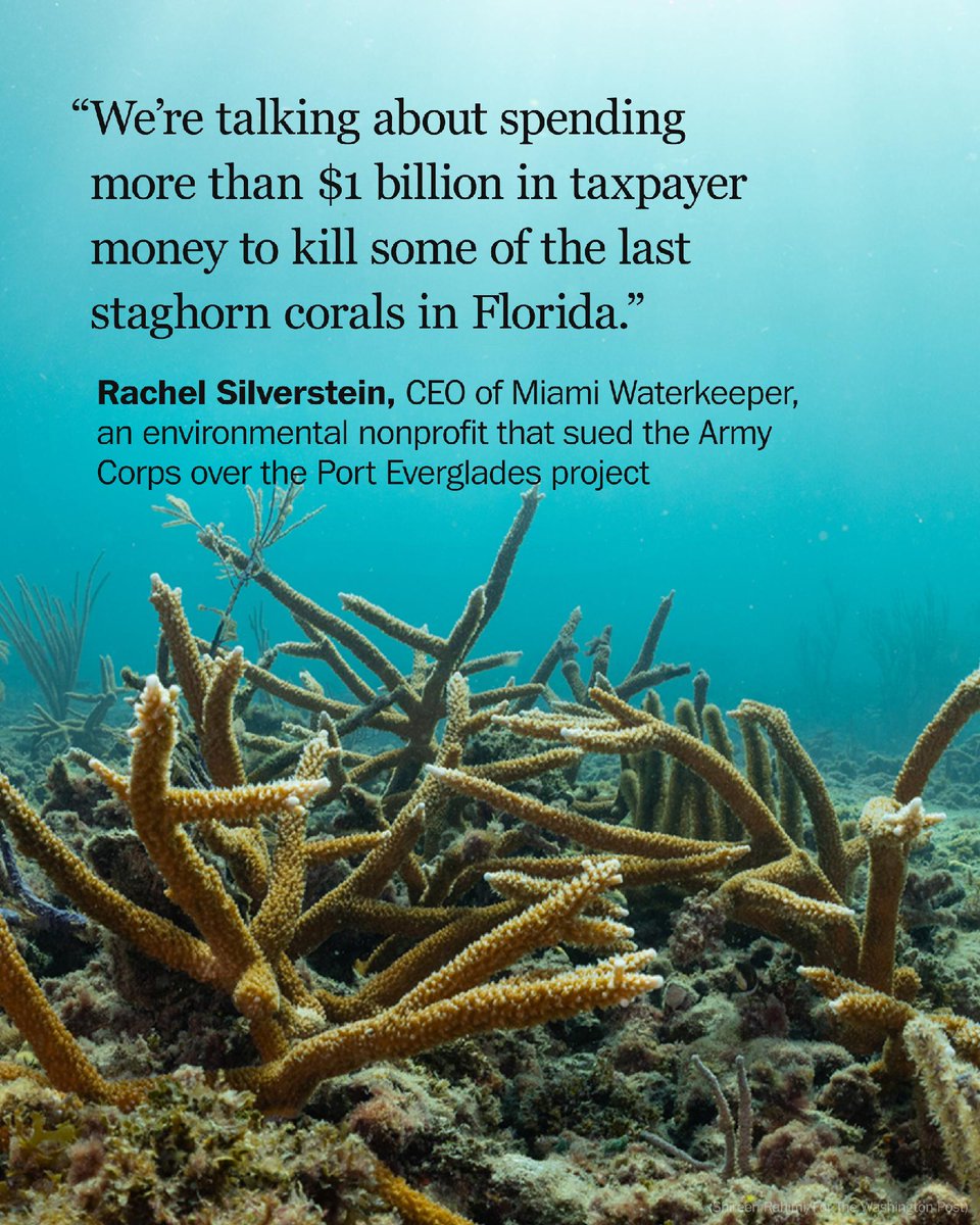 washingtonpost's tweet photo. The U.S. Army Corps of Engineers is planning to widen the shipping channel leading into Port Everglades, blasting through a coral reef and dredging up sediment that could smother acres of coral, federal scientists say. https://t.co/rmhT1JS3Rn https://t.co/jBS3zeKRMz