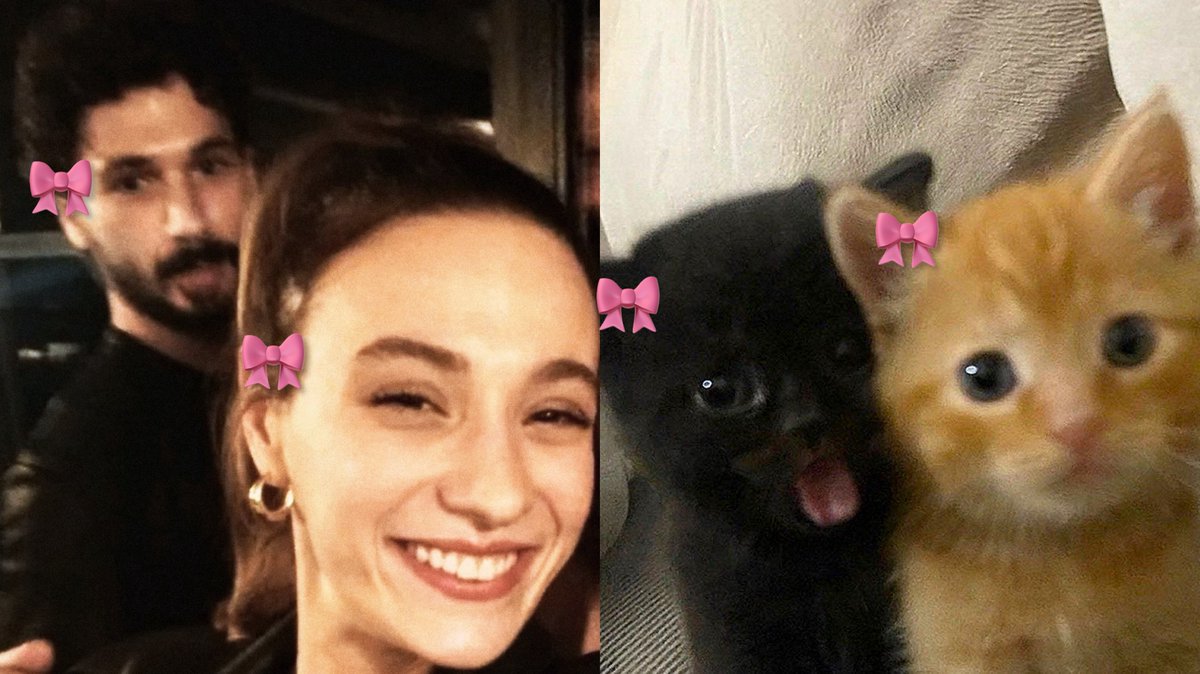 SGH (@shgkhal) / Posts / X